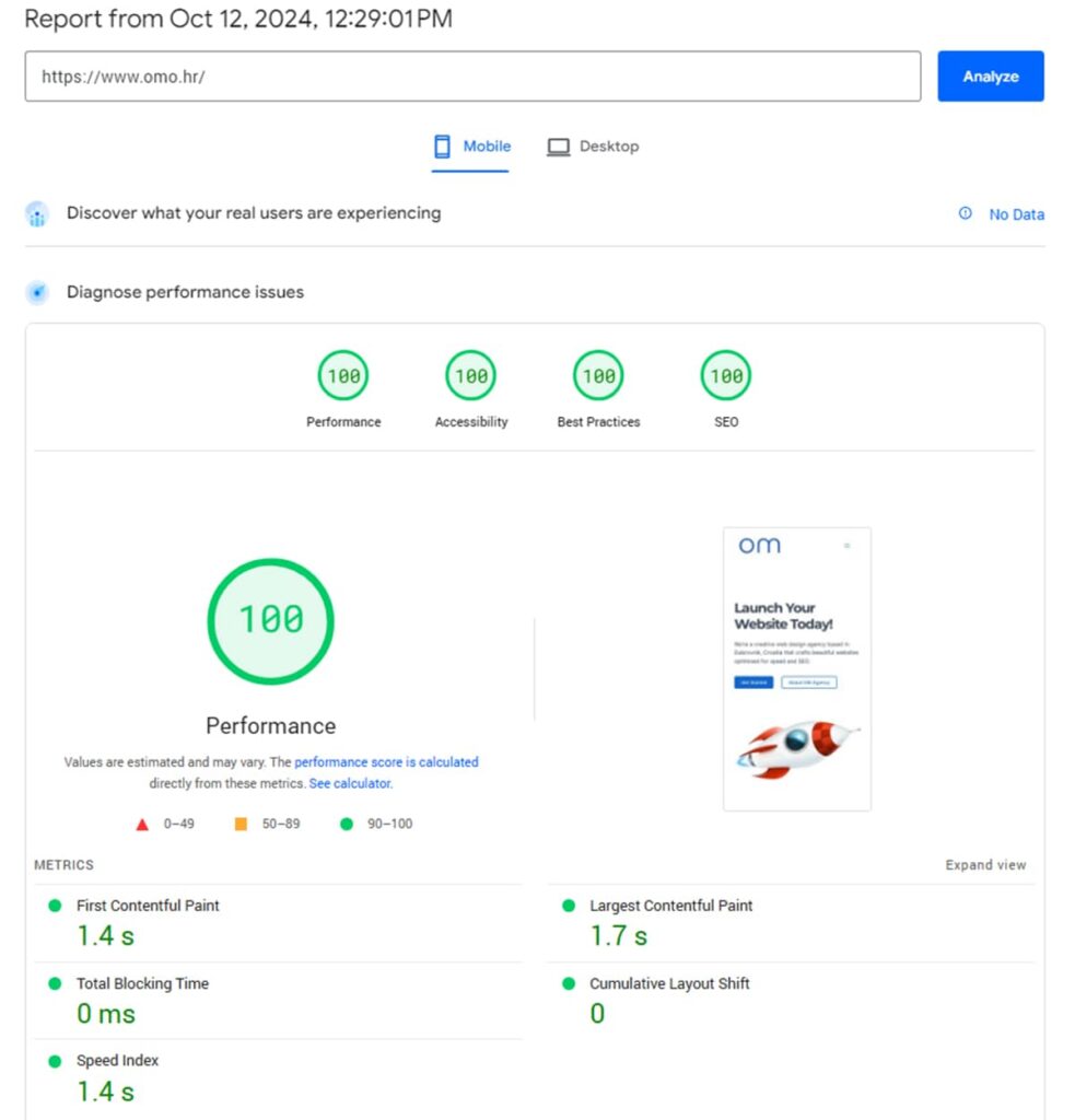 Google PageSpeed Insights for OM Agency